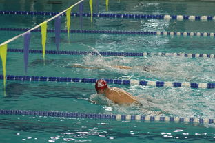 爱爱游戏-自由泳预赛突尼斯多人晋级，自由泳2021